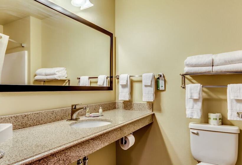 Suite, Cobblestone Inn & Suites   Waverly