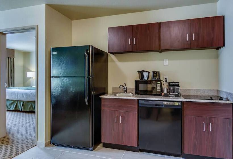 سوییت, Cobblestone Inn & Suites   Waverly