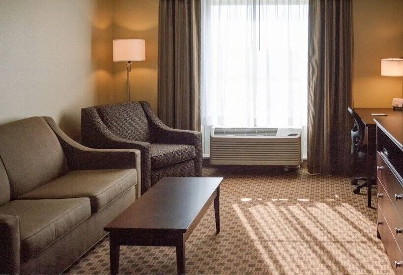 سوییت, Cobblestone Inn & Suites   Waverly