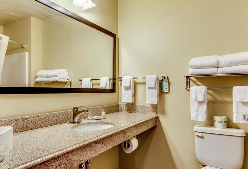 اتاق لوکس با تخت بزرگ, Cobblestone Inn & Suites   Waverly