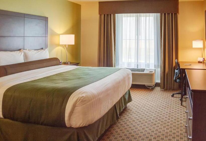 اتاق لوکس با تخت بزرگ, Cobblestone Inn & Suites   Waverly
