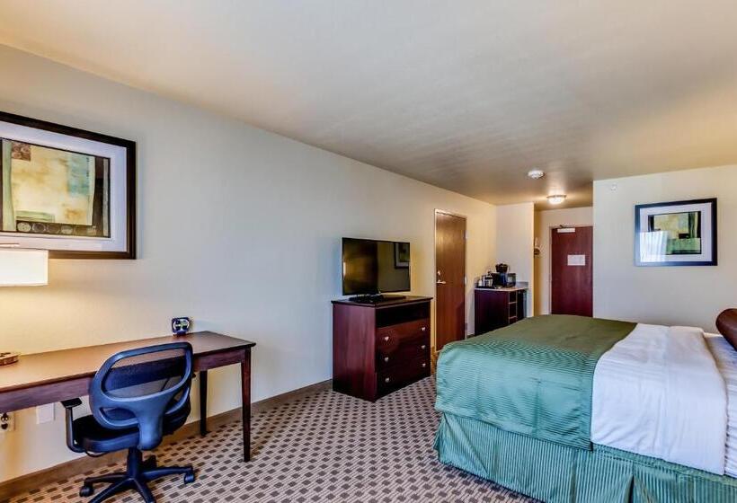 اتاق لوکس با تخت بزرگ, Cobblestone Inn & Suites   Waverly