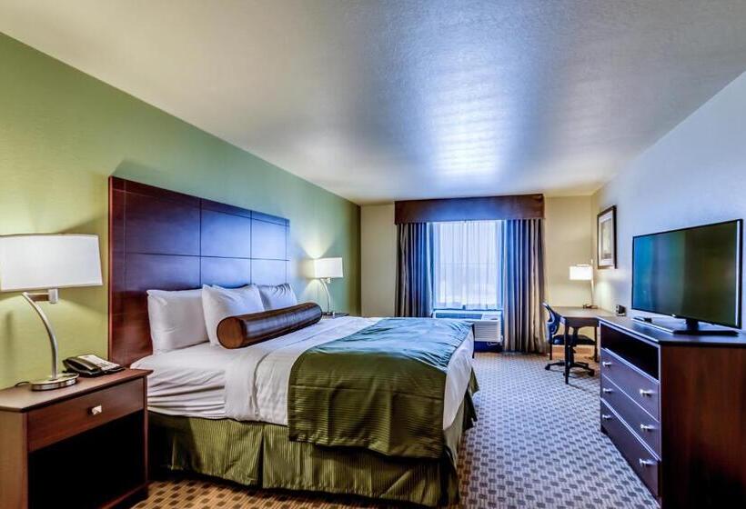 اتاق لوکس با تخت بزرگ, Cobblestone Inn & Suites   Waverly