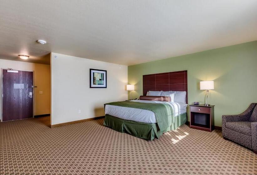 Estudio Estándar Cama King, Cobblestone Inn & Suites   Waverly