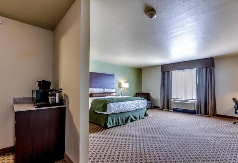 Estudio Estándar Cama King, Cobblestone Inn & Suites   Waverly