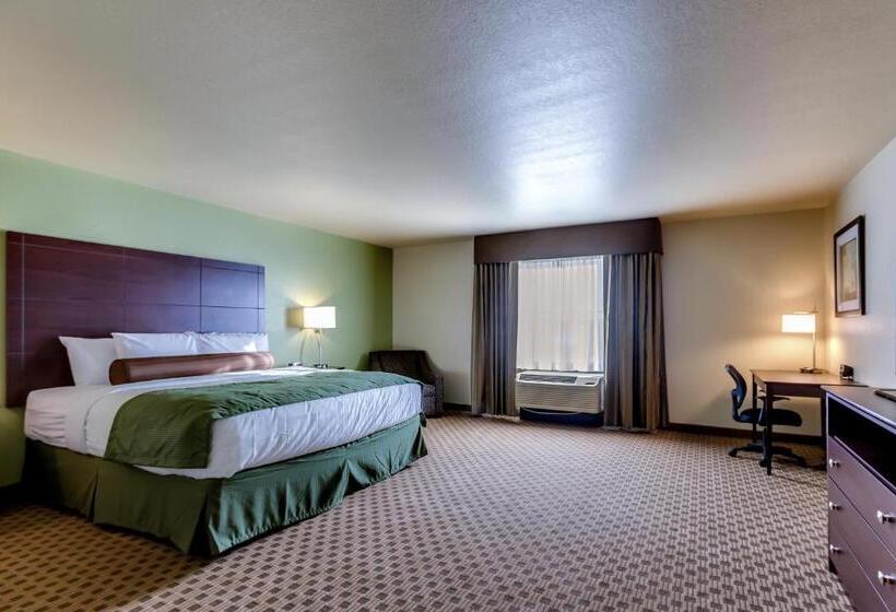 Standaard Studio met Kingsize Bed, Cobblestone Inn & Suites   Waverly