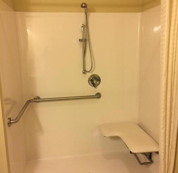 اتاق استاندارد با تخت بزرگ برای معلولان, Cobblestone Inn & Suites   Waverly