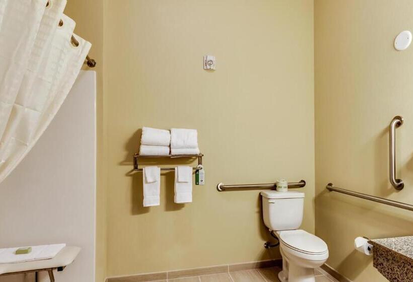اتاق استاندارد با تخت بزرگ برای معلولان, Cobblestone Inn & Suites   Waverly