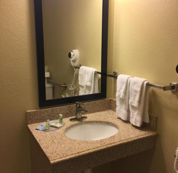 اتاق استاندارد با تخت بزرگ برای معلولان, Cobblestone Inn & Suites   Waverly