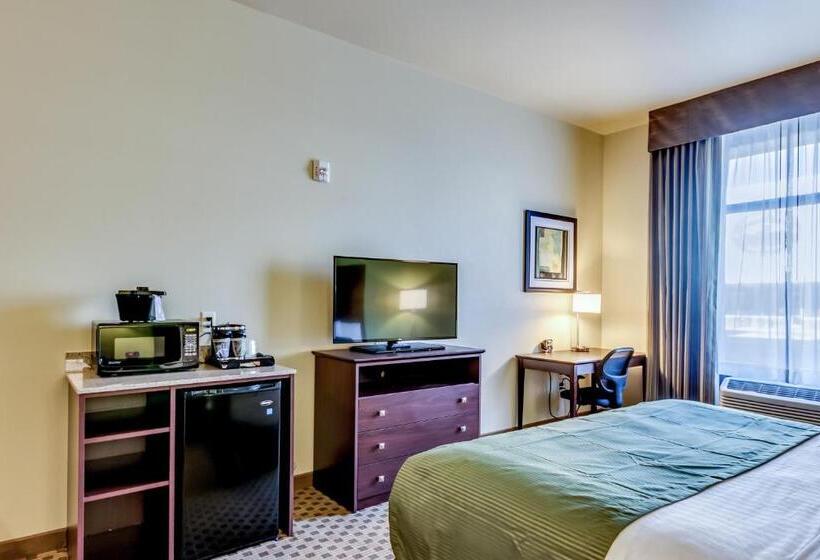 غرفة قياسية سرير كينج لذوى الإحتياجات الخاصة, Cobblestone Inn & Suites   Waverly