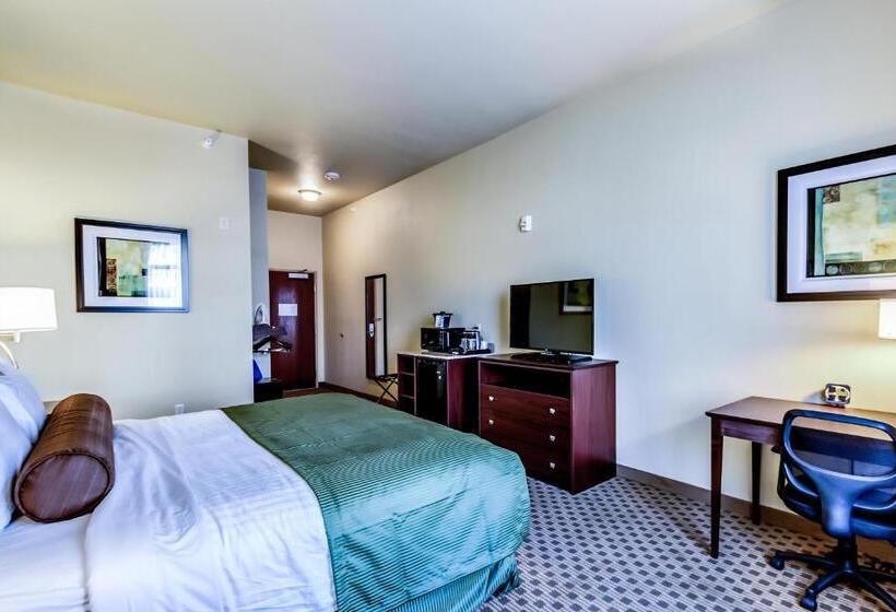 اتاق استاندارد با تخت بزرگ برای معلولان, Cobblestone Inn & Suites   Waverly
