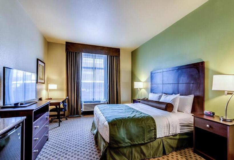 اتاق استاندارد با تخت بزرگ برای معلولان, Cobblestone Inn & Suites   Waverly