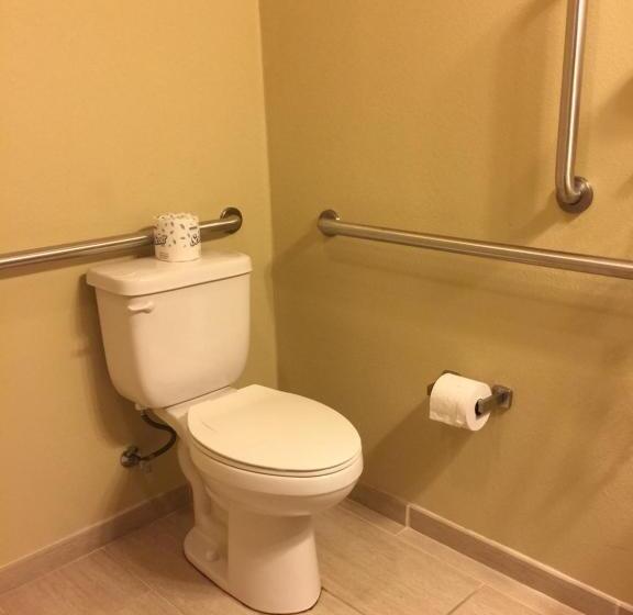 استودیوی استاندارد, Cobblestone Inn & Suites   Waverly
