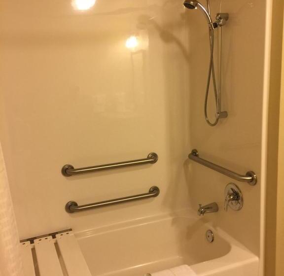 استودیوی استاندارد, Cobblestone Inn & Suites   Waverly