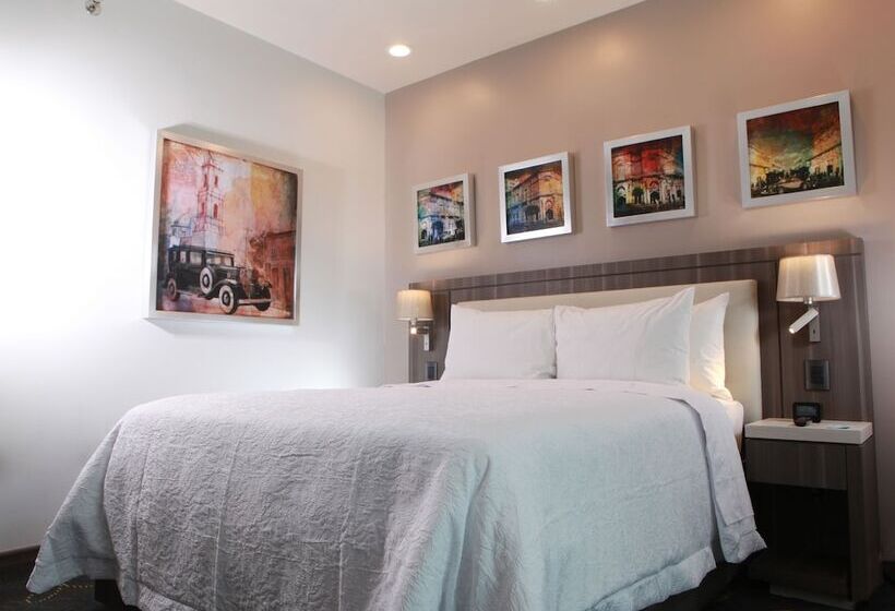 اتاق استاندارد با تخت دوبل, Hampton Inn & Suites By Hilton Aguascalientes Airport