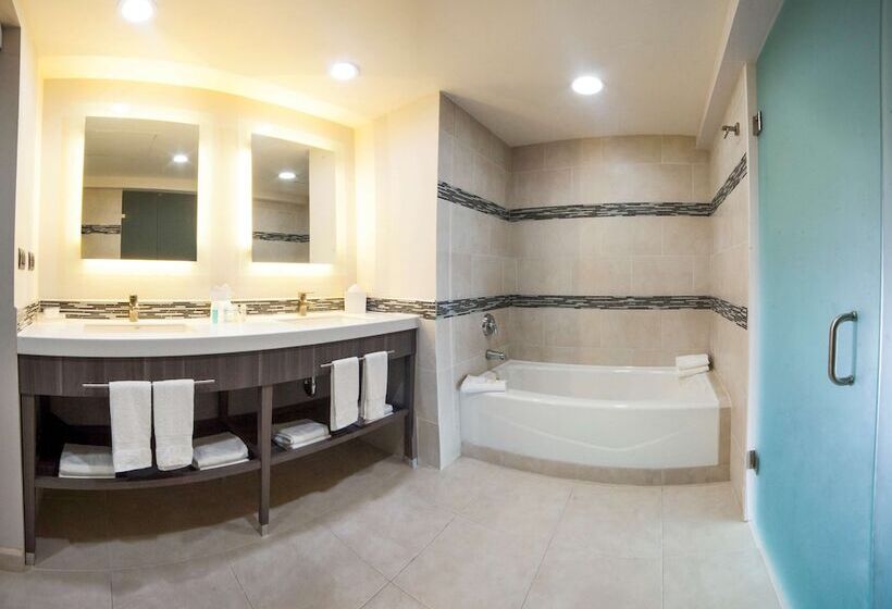 سوییت, Hampton Inn & Suites By Hilton Aguascalientes Airport