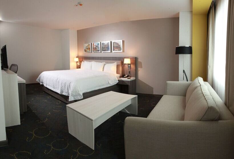 اتاق استاندارد با تخت دوبل, Hampton Inn & Suites By Hilton Aguascalientes Airport