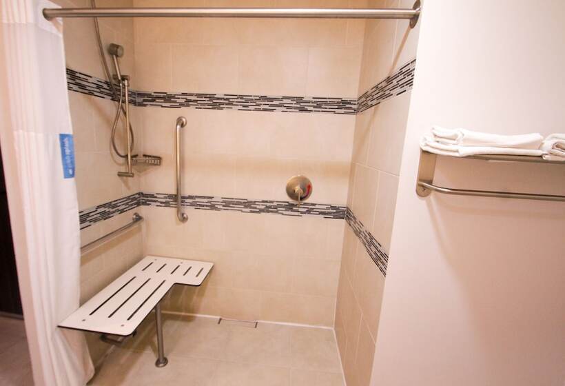 اتاق استاندارد برای معلولان, Hampton Inn & Suites By Hilton Aguascalientes Airport
