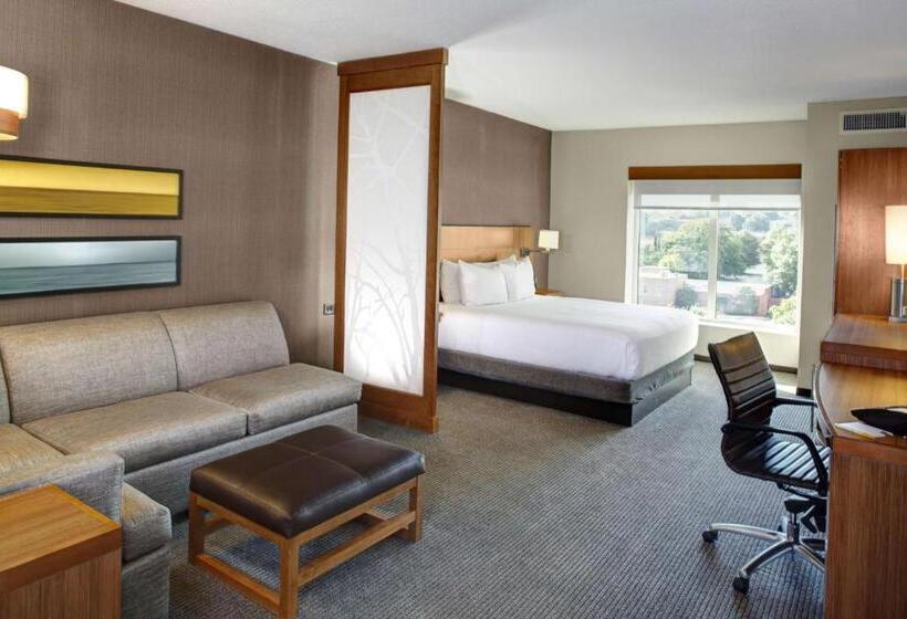 اتاق استاندارد با تخت بزرگ برای معلولان, Hyatt Place Columbia/downtown/the Vista