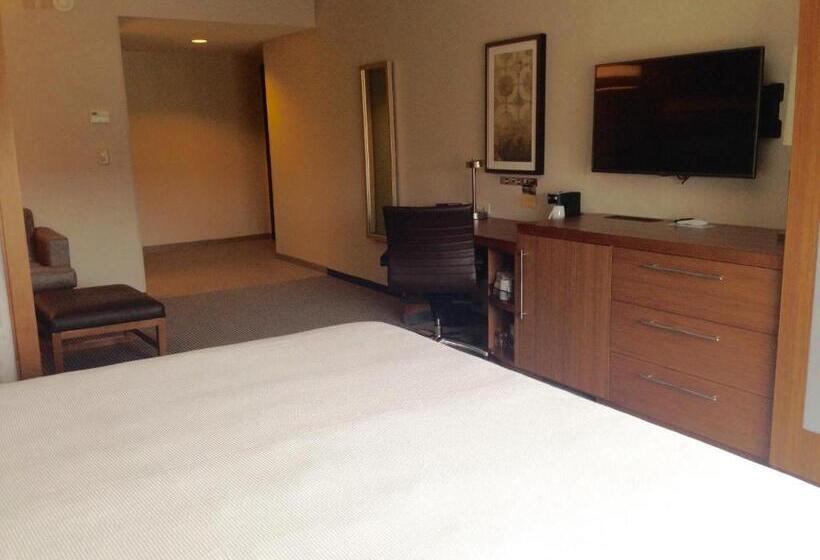 Habitación Estándar Cama King Adaptada para personas con movilidad reducida, Hyatt Place Columbia Downtown