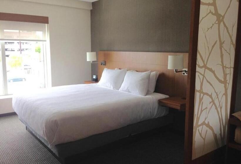 اتاق استاندارد با تخت بزرگ برای معلولان, Hyatt Place Columbia/downtown/the Vista