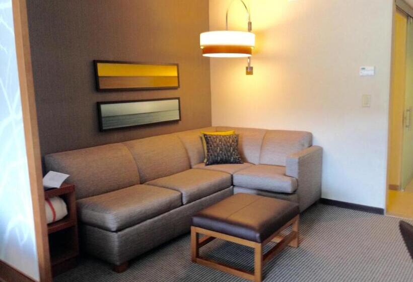 اتاق استاندارد با تخت بزرگ, Hyatt Place Columbia/downtown/the Vista