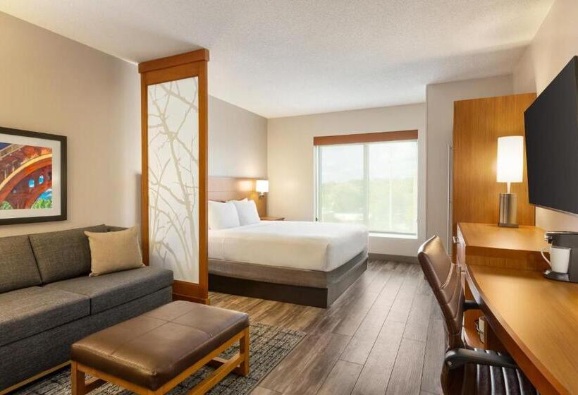 اتاق استاندارد با تخت بزرگ, Hyatt Place Columbia Downtown