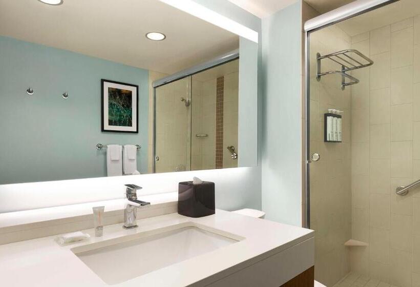 اتاق استاندارد با تخت بزرگ, Hyatt Place Columbia/downtown/the Vista