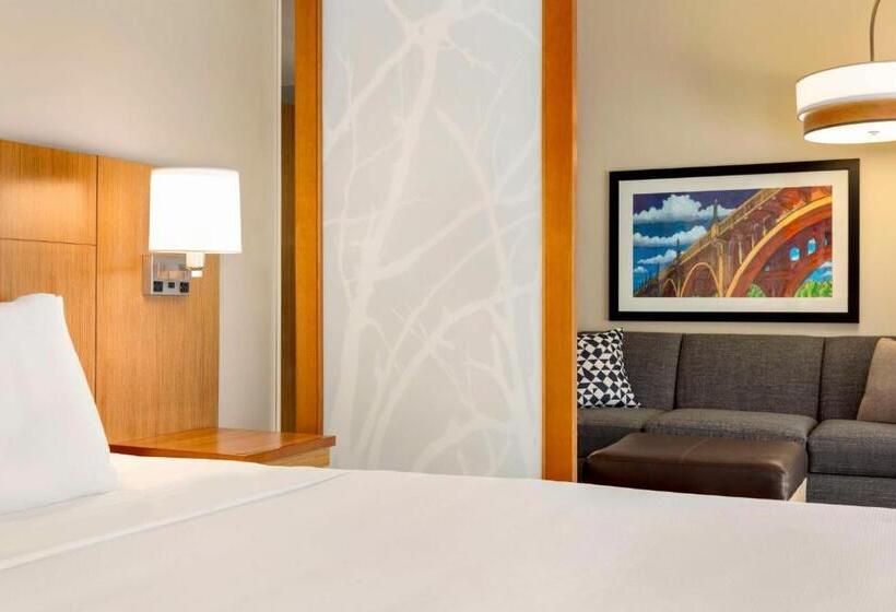 استودیو استاندارد با تخت کینگ, Hyatt Place Columbia/downtown/the Vista