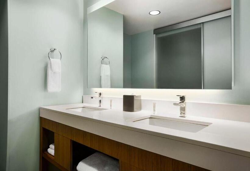 سوئیت برای معلولان, Hyatt Place Columbia/downtown/the Vista
