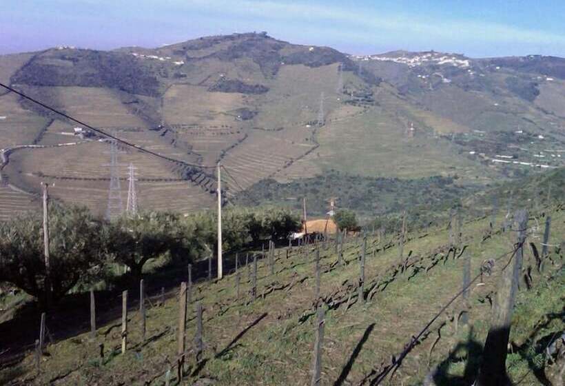 Quarto Estandar, Quinta De Casaldronho Wine