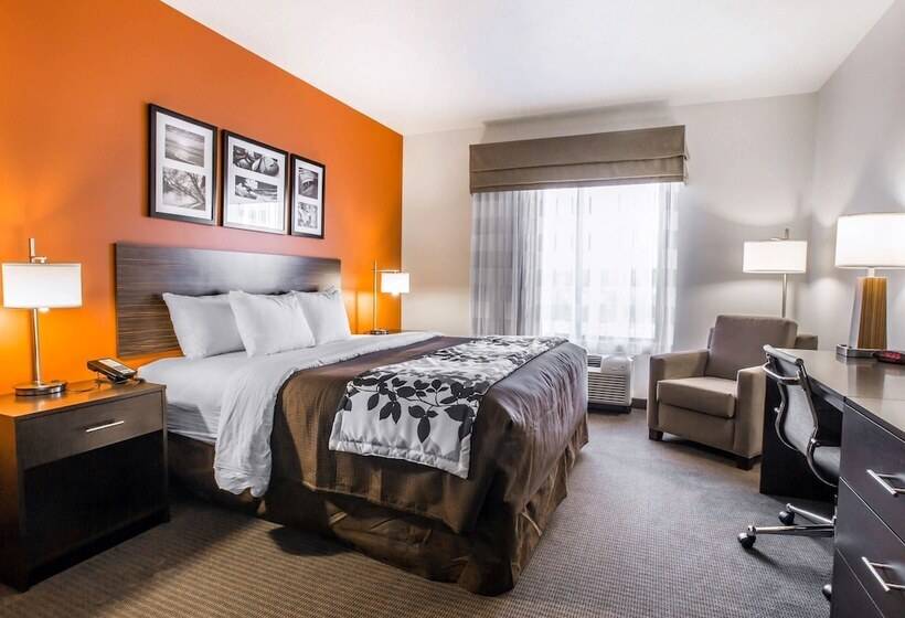 اتاق استاندارد با تخت دوبل برای معلولان, Sleep Inn & Suites Page At Lake Powell