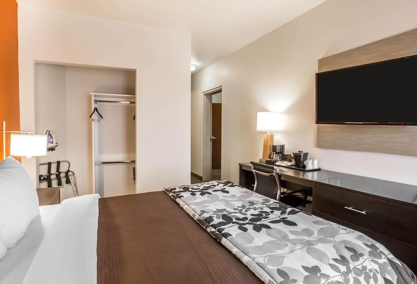 اتاق استاندارد با تخت دوبل برای معلولان, Sleep Inn & Suites Page At Lake Powell