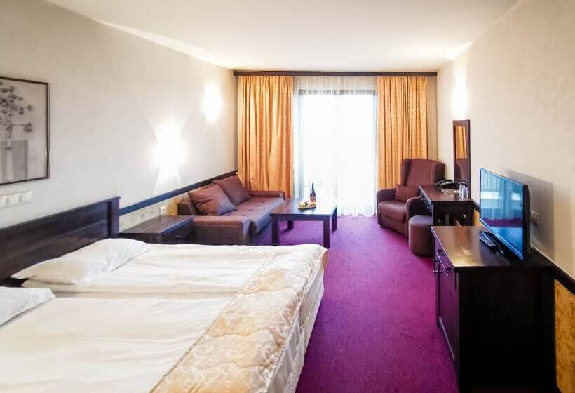 اتاق استاندارد با بالکن, Trinity Residence Bansko