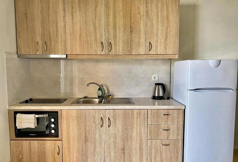 آپارتمان 1 خوابه همکف, Manolis Apartments Plakias