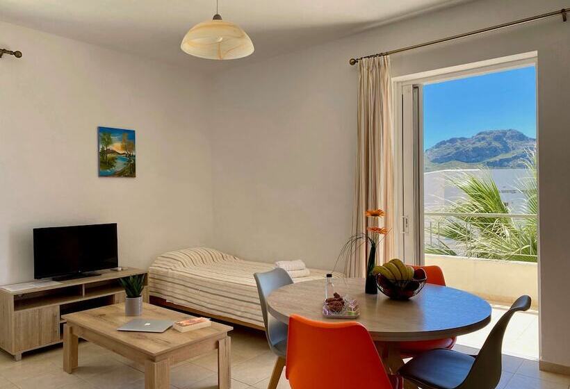 آپارتمان 1 خوابه, Manolis Apartments Plakias