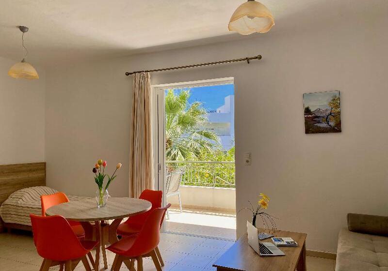 آپارتمان 1 خوابه, Manolis Apartments Plakias