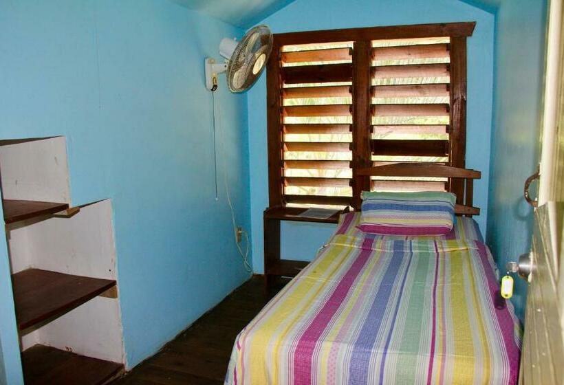 اتاق استاندارد یک تخته با سرویس بهداشتی مشترک, Roatan Backpackers  Hostel