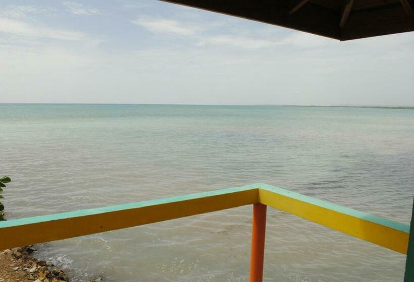 بانگلوی استاندارد, Bluefields On The Bay