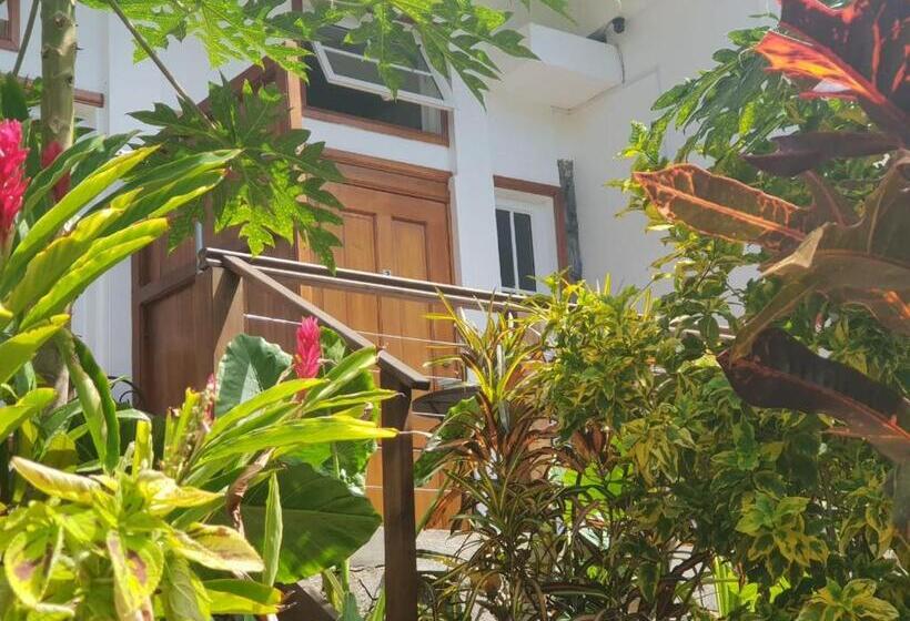 اتاق استاندارد با چشم‌انداز باغ, Les Antigones