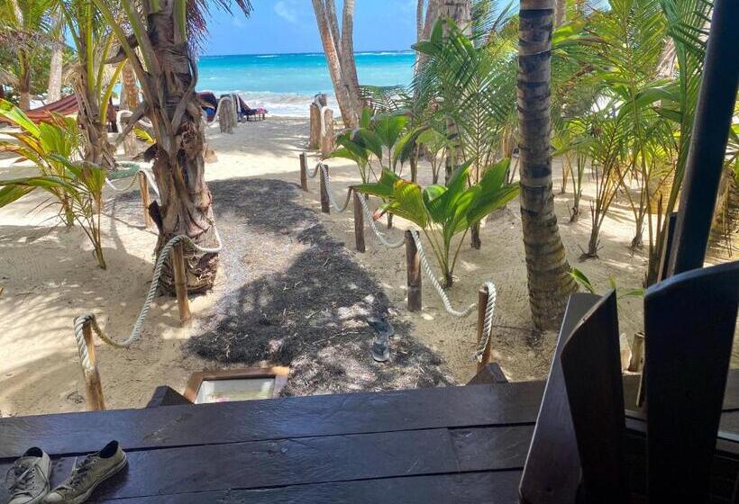 اتاق استاندارد, Little Corn Island Beach And Bungalow