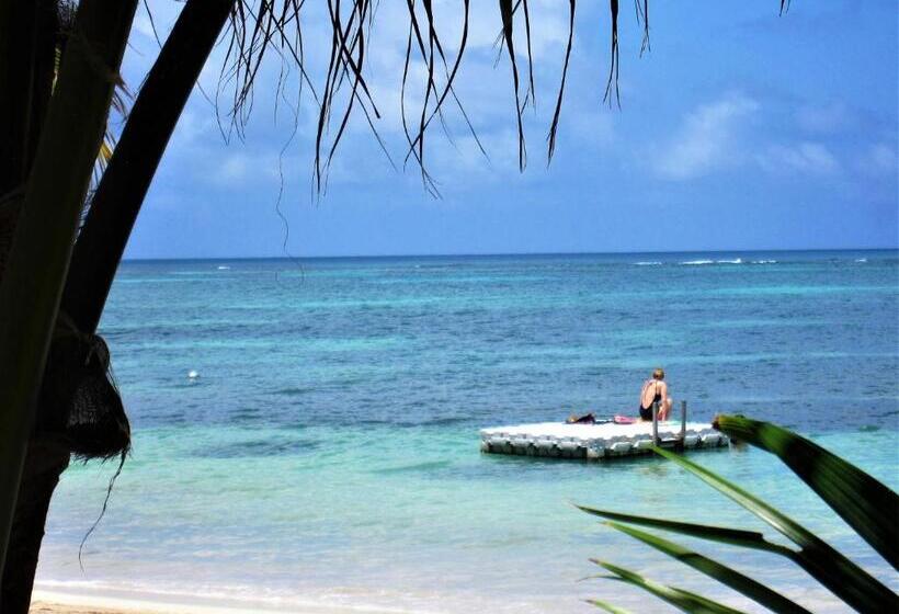 اتاق استاندارد, Little Corn Island Beach And Bungalow