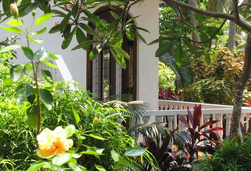 سوییت با چشم‌انداز باغ, Albuquerque Betterhomes, Goa