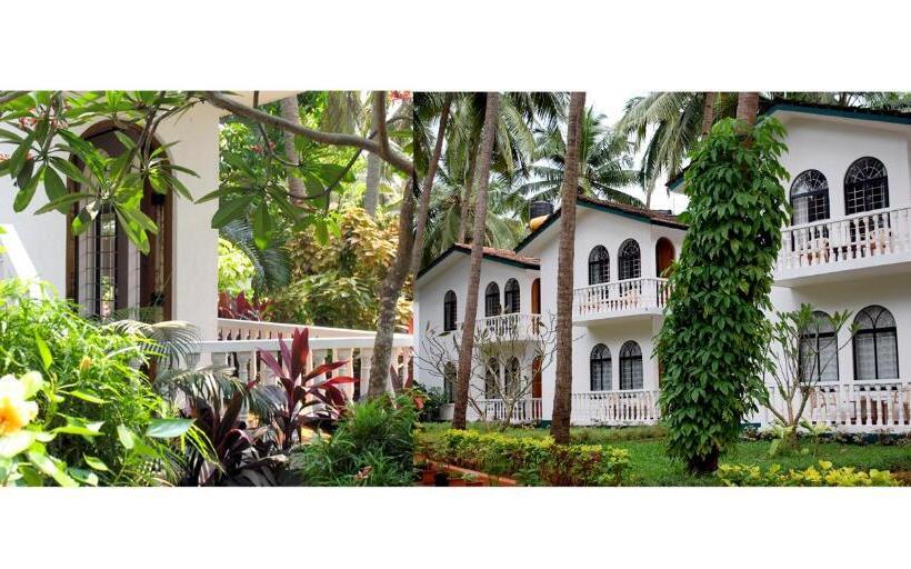 سوییت سوپریور, Albuquerque Betterhomes, Goa