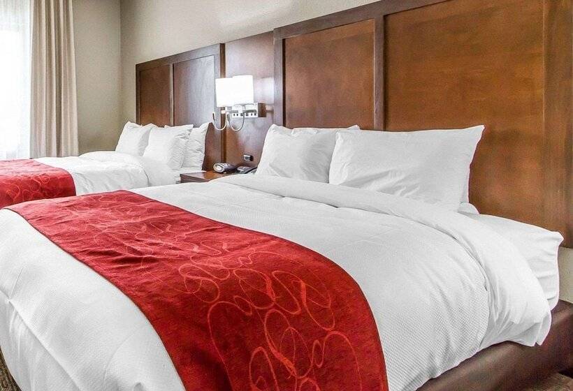 Standard Room, Comfort Suites West Omaha