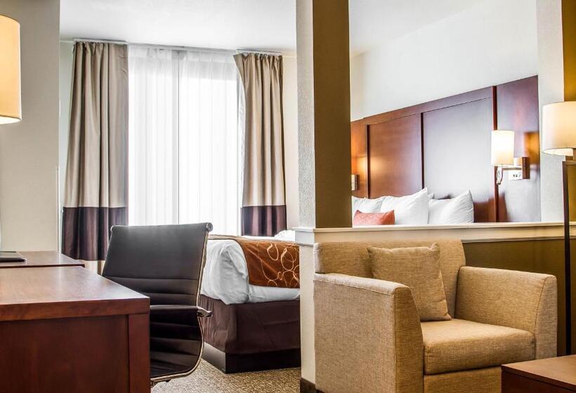 سوئیت با تخت بزرگ, Comfort Suites Woodland  Sacramento Airport