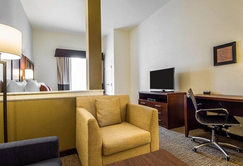 اتاق استاندارد با 2 تخت دوبل, Comfort Suites Woodland  Sacramento Airport