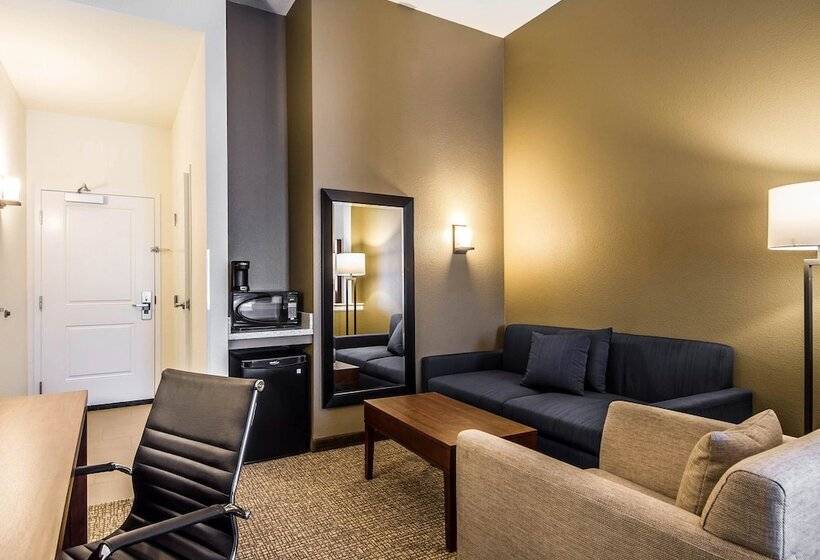 سوئیت برای معلولان, Comfort Suites Woodland  Sacramento Airport