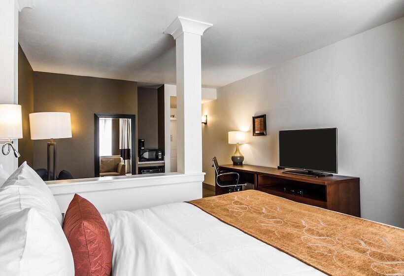 سوئیت برای معلولان, Comfort Suites Woodland  Sacramento Airport