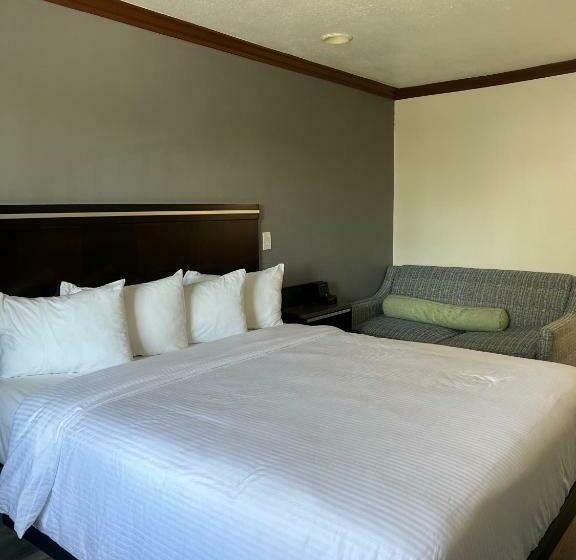 اتاق استاندارد با تخت بزرگ, Starlight Inn Huntington Beach
